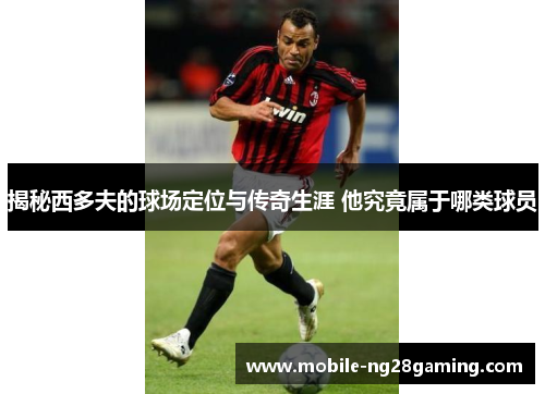 揭秘西多夫的球场定位与传奇生涯 他究竟属于哪类球员