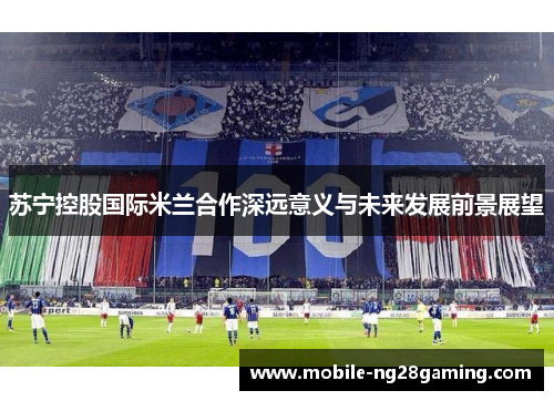 苏宁控股国际米兰合作深远意义与未来发展前景展望