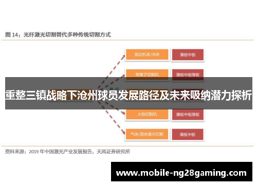 重整三镇战略下沧州球员发展路径及未来吸纳潜力探析 重整三镇战略下沧州球员发展路径及未来吸纳潜力探析