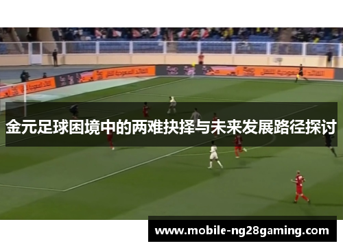 金元足球困境中的两难抉择与未来发展路径探讨