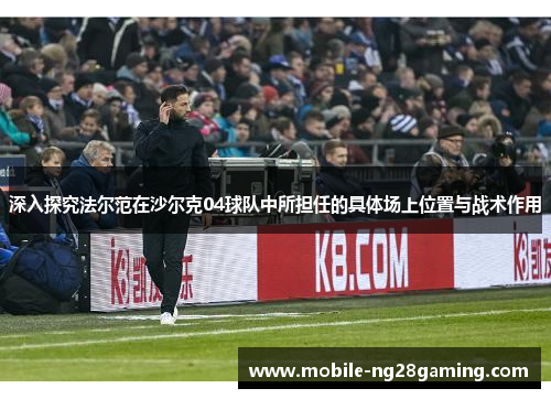 深入探究法尔范在沙尔克04球队中所担任的具体场上位置与战术作用