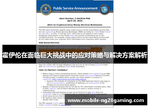 霍伊伦在面临巨大挑战中的应对策略与解决方案解析