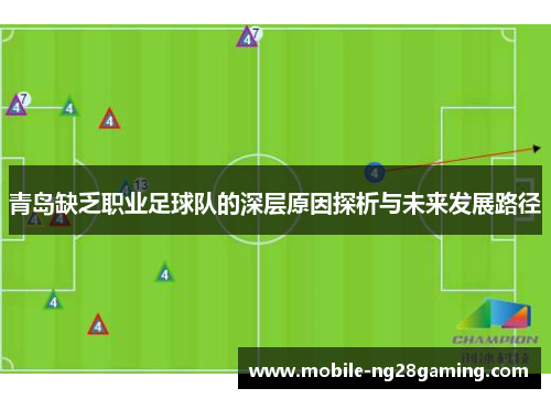 青岛缺乏职业足球队的深层原因探析与未来发展路径