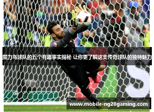 魔力鸟球队的五个有趣事实揭秘 让你更了解这支传奇球队的独特魅力 魔力鸟球队的五个有趣事实揭秘 让你更了解这支传奇球队的独特魅力