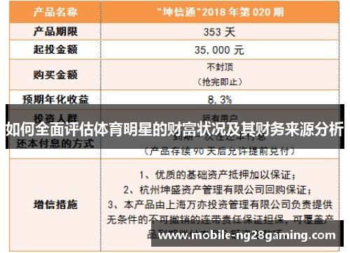如何全面评估体育明星的财富状况及其财务来源分析