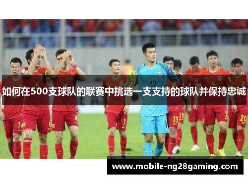 如何在500支球队的联赛中挑选一支支持的球队并保持忠诚