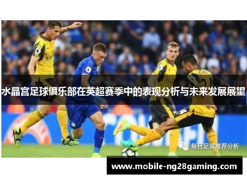 水晶宫足球俱乐部在英超赛季中的表现分析与未来发展展望