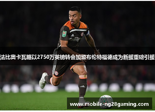 法比奥卡瓦略以2750万英镑转会加盟布伦特福德成为新援重磅引援