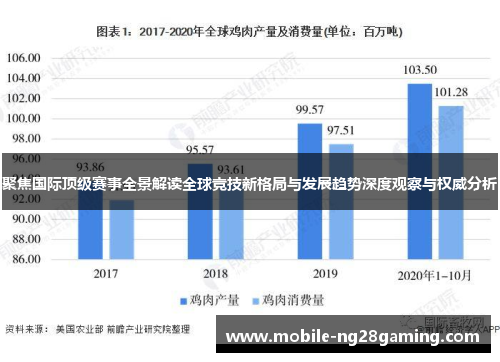 聚焦国际顶级赛事全景解读全球竞技新格局与发展趋势深度观察与权威分析 聚焦国际顶级赛事全景解读全球竞技新格局与发展趋势深度观察与权威分析