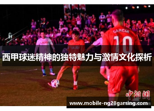 西甲球迷精神的独特魅力与激情文化探析